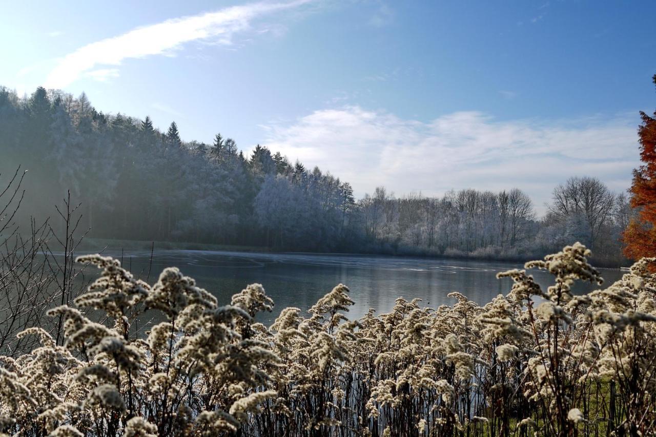 Hennen-Nest Lägenhet Sankt Ingbert Exteriör bild